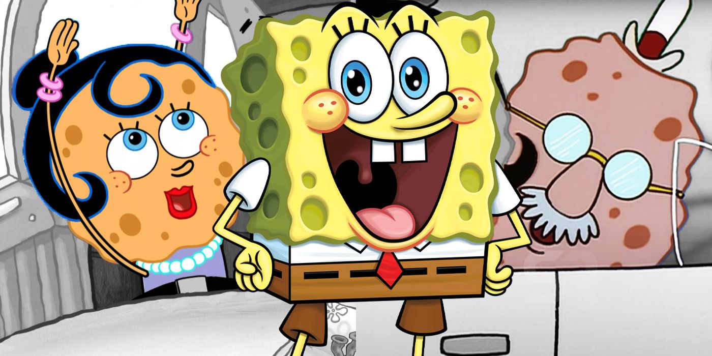 Is Spongebob a Kitchen Sponge 