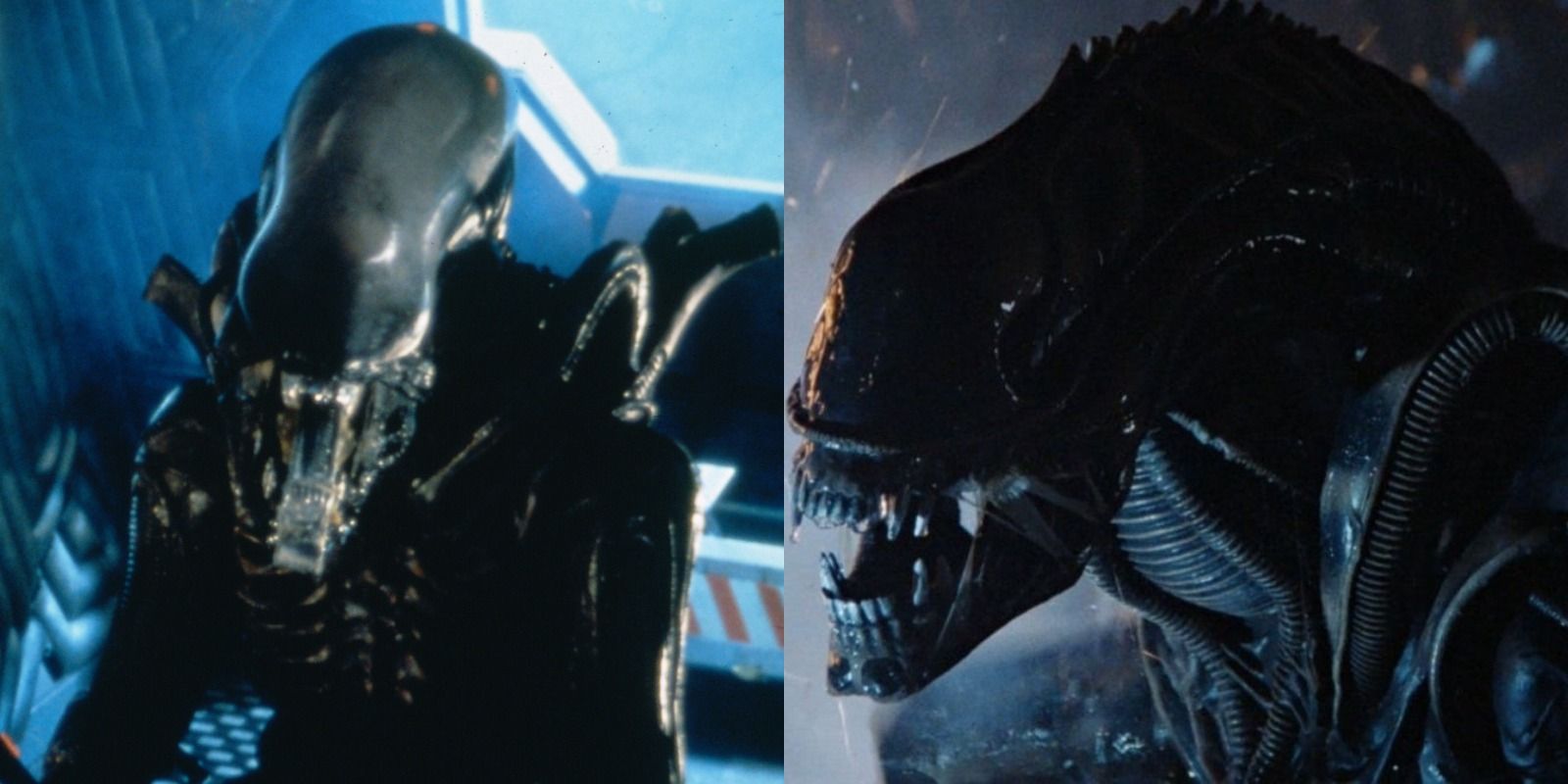 Xenomorph drones in both Alien and Aliens