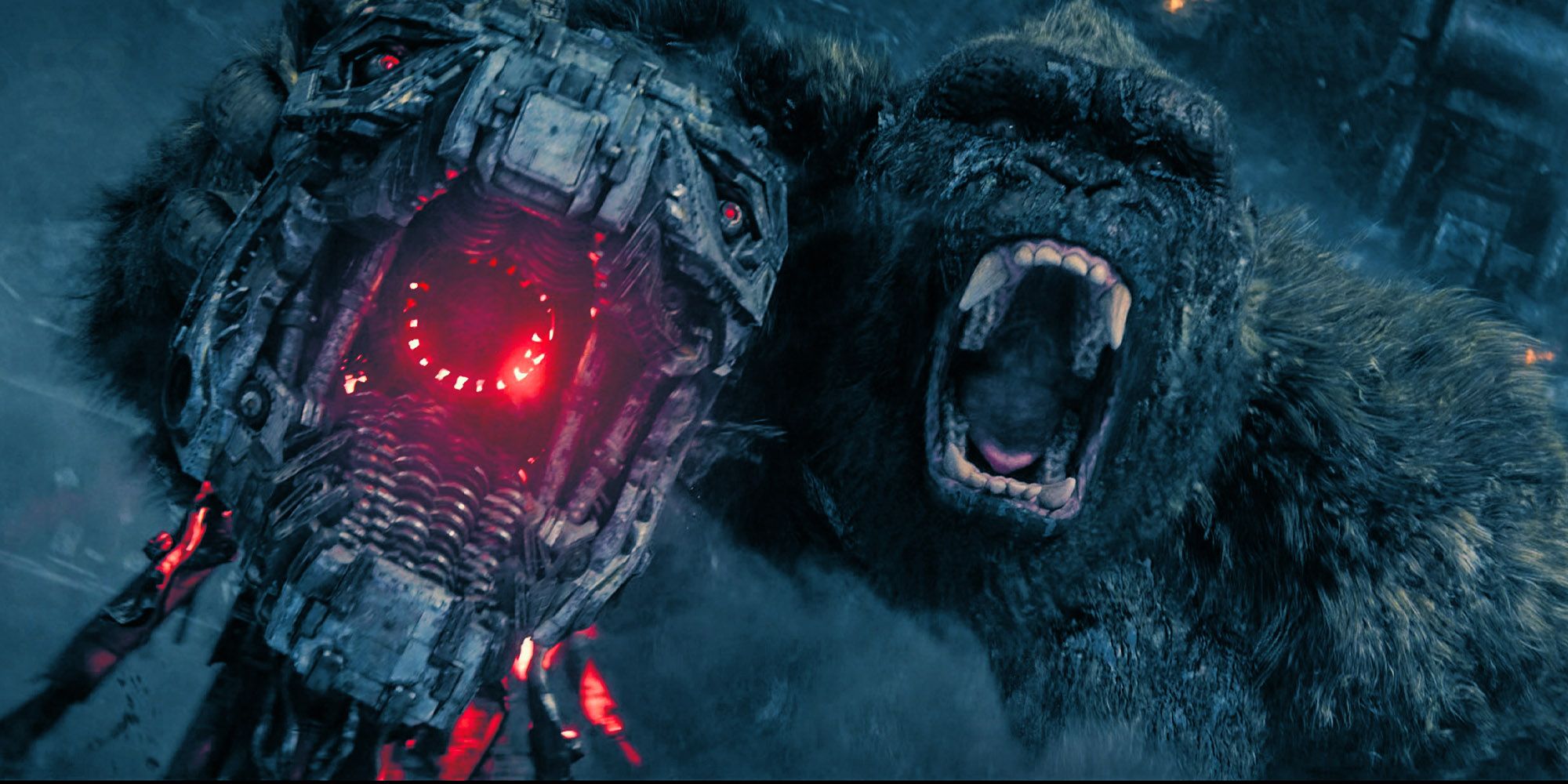 Why Kong Could Beat Mechagodzilla, But Not Godzilla