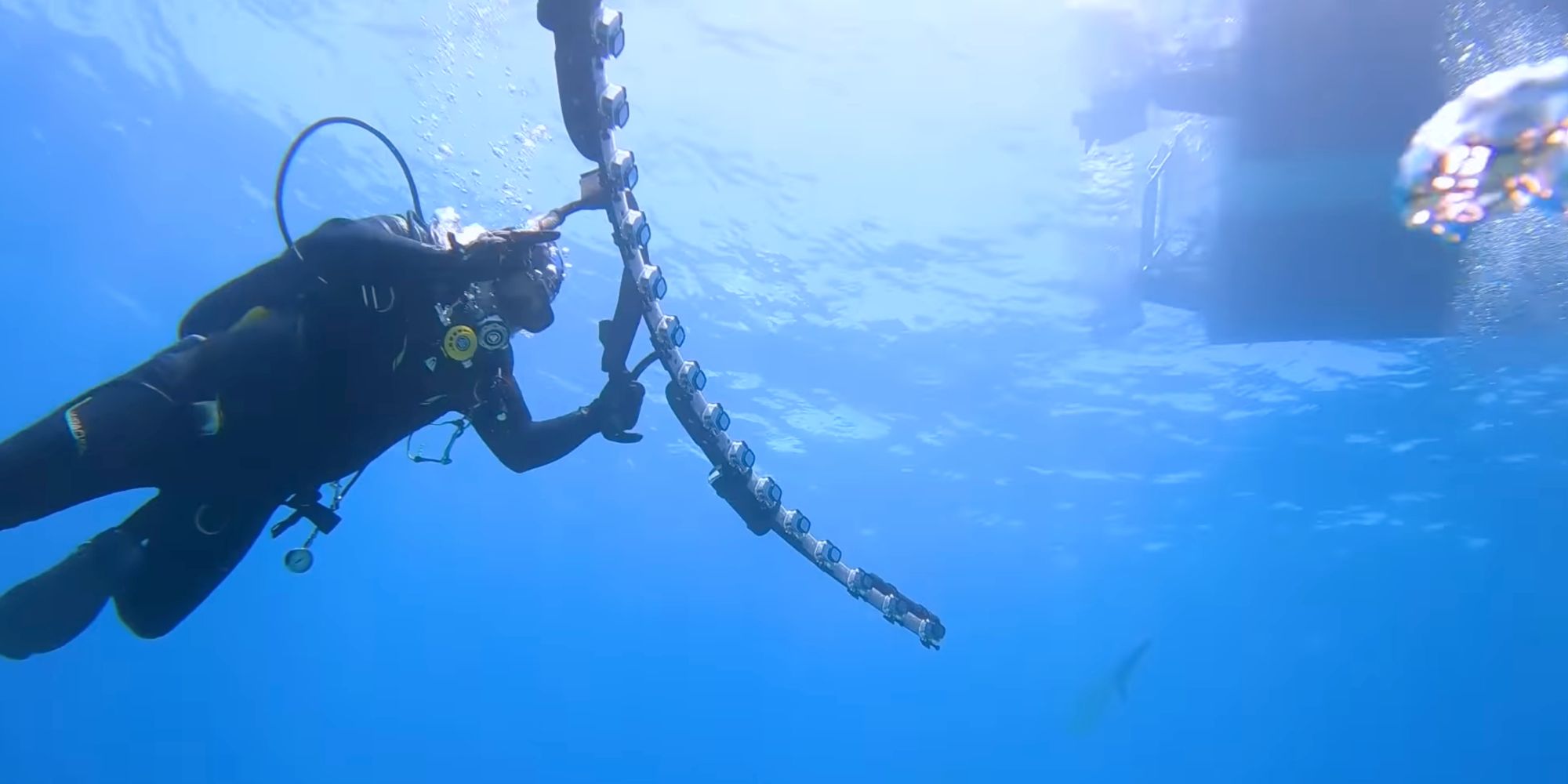 Mark Rober's Shark Week test with 21 GoPros