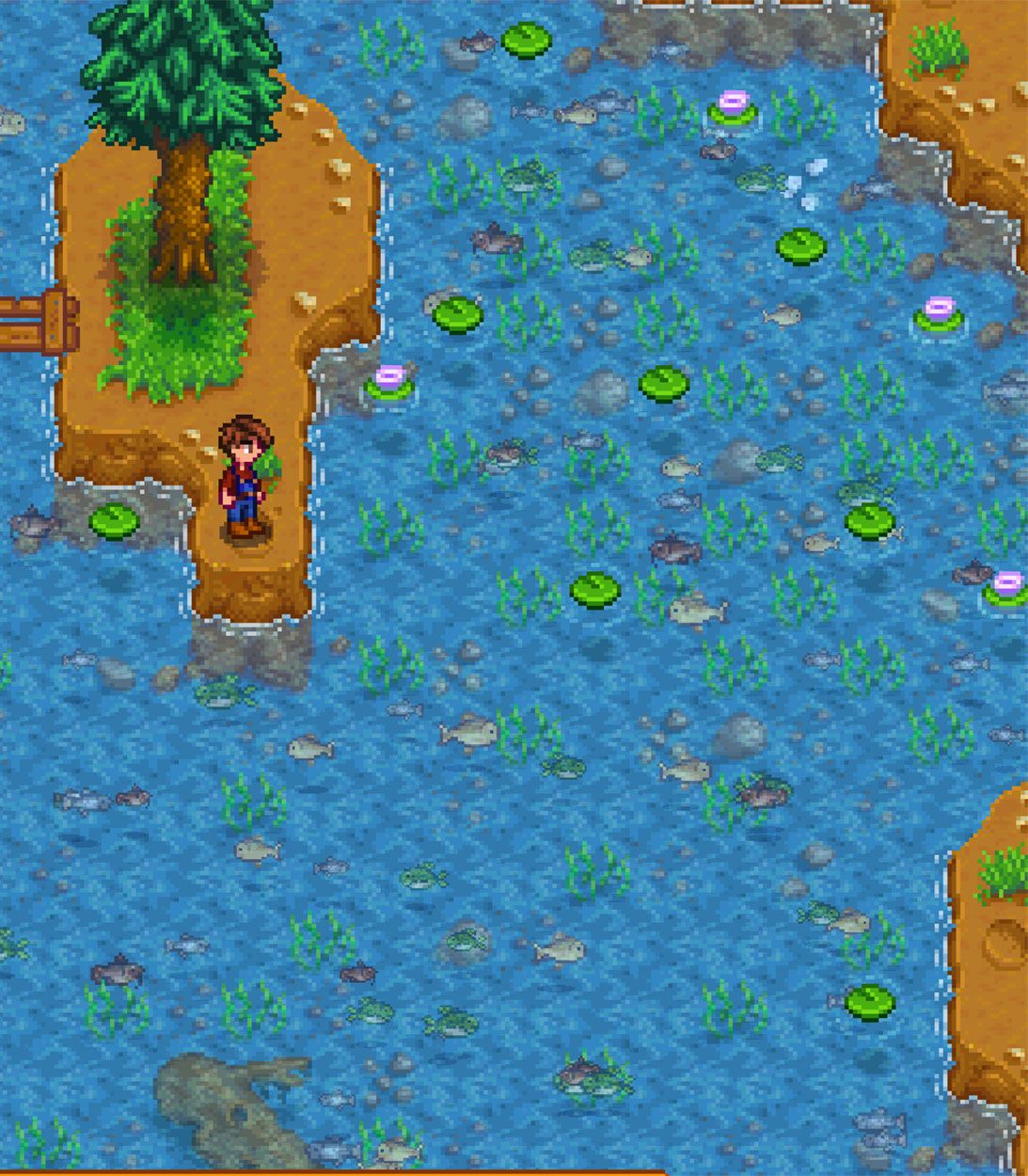 Los fanáticos de Stardew Valley se sorprenden al descubrir una mecánica de pesca oculta