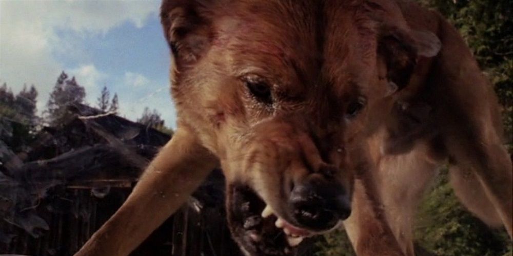 10 Best Killer Dog Movies, Ranked By IMDb