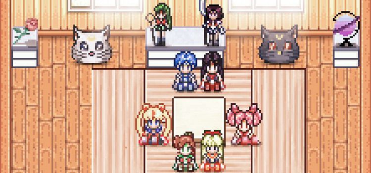 Stardew Valley Sailor Moon Custom Outfits