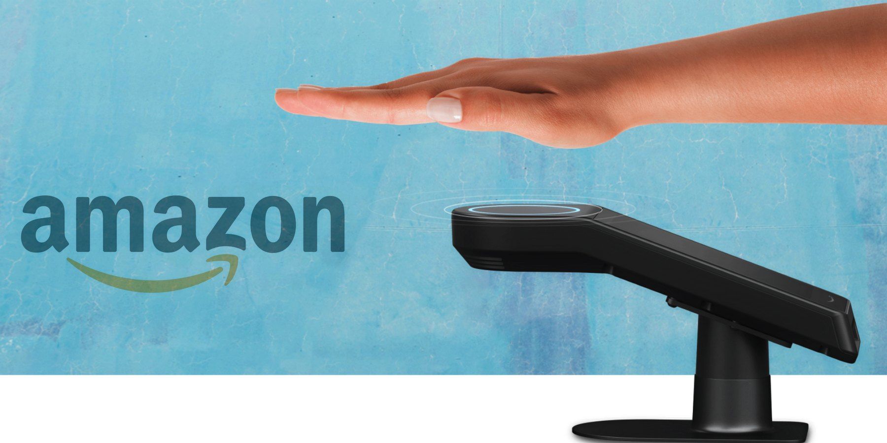 Is 10 Enough For Your Palm Print? Amazon Thinks So