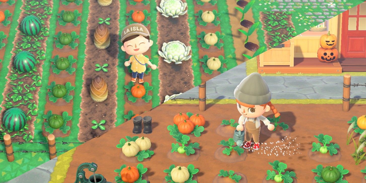 Animal Crossing Beach Balls Make Perfect Farm