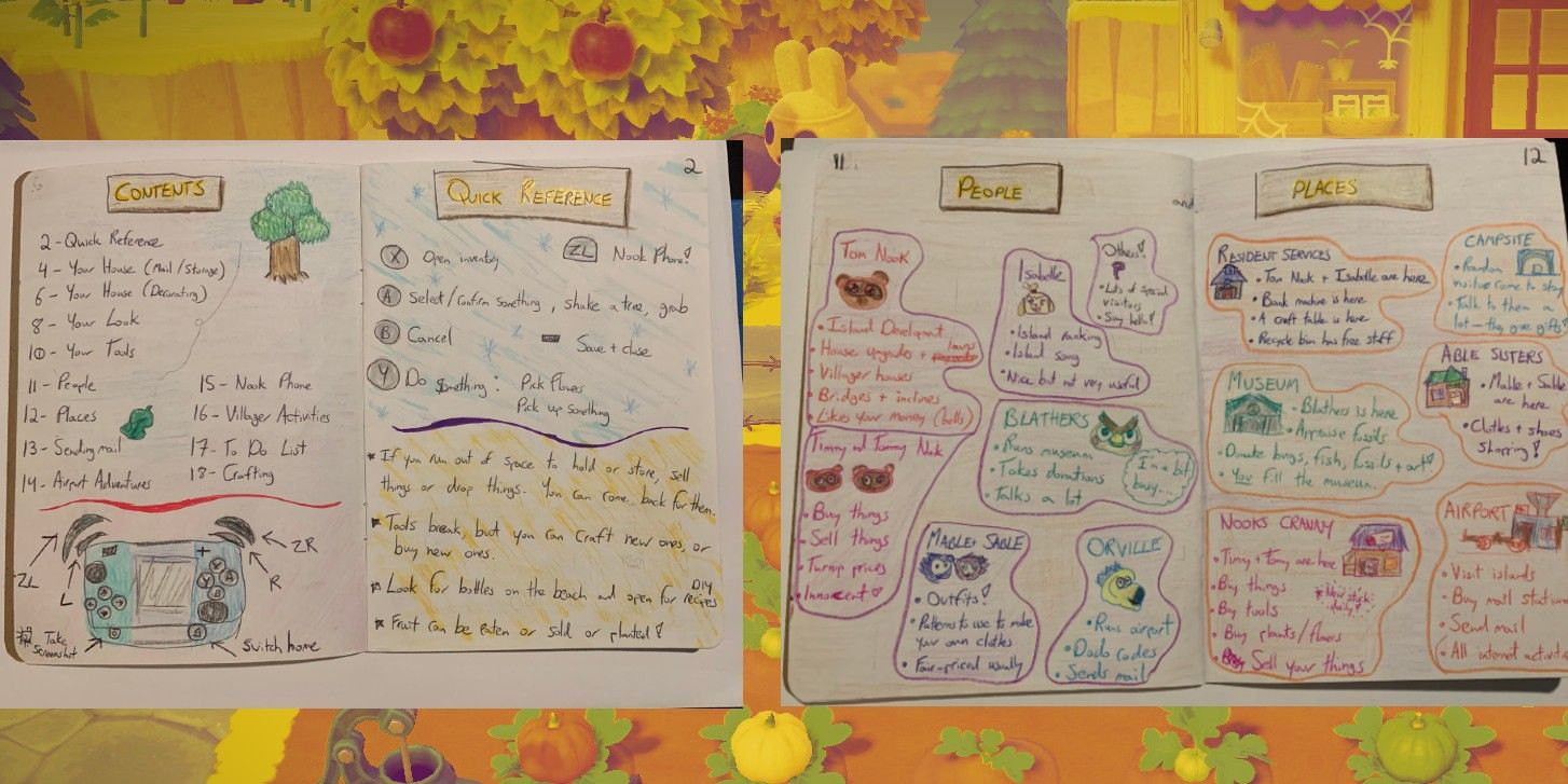 Animal Crossing Fan’s Homemade Strategy Guide For Their Mom Is Precious
