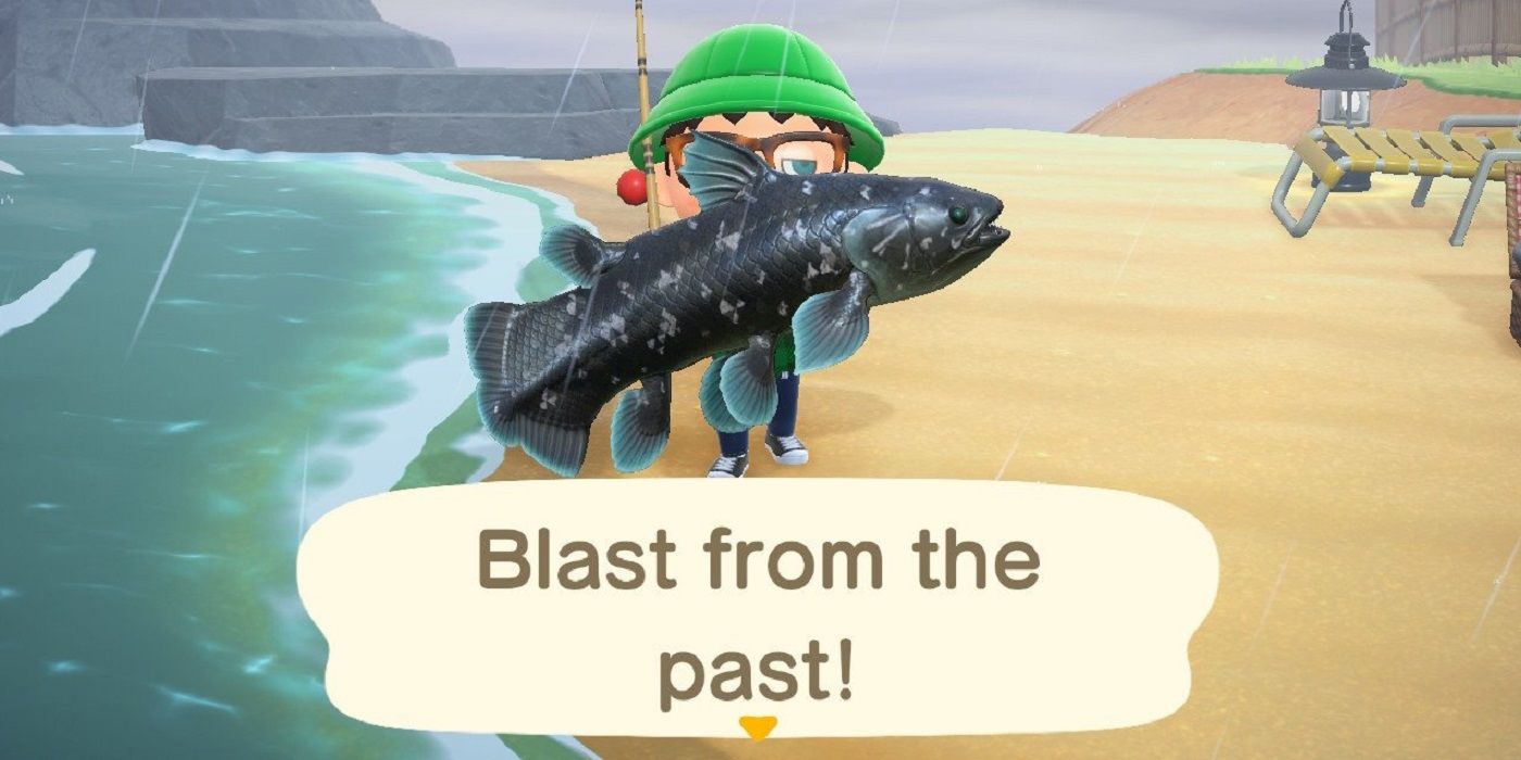 Animal Crossing New Horizons Fish Worth The Most