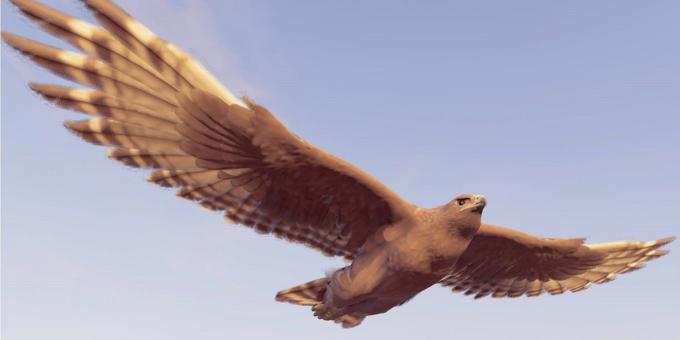 Assassins Creed Eagle Bird Symbolism