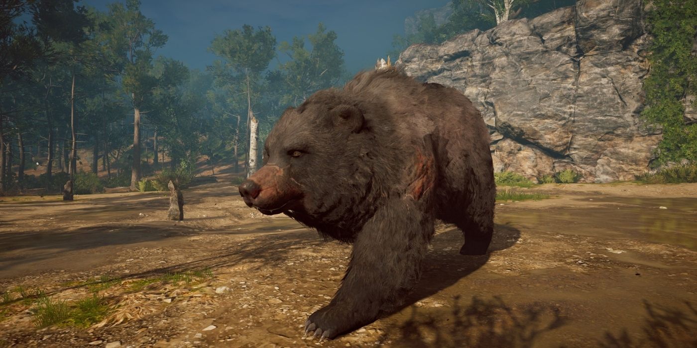 Kallisto the bear walking in Assassin's Creed: Odyssey