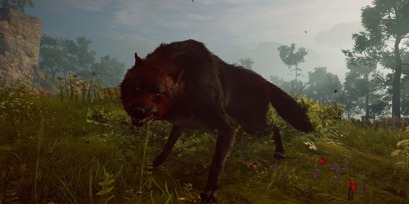 The Lykaon Wolf during battle bearing its teeth in Assassin's Creed Odyssey