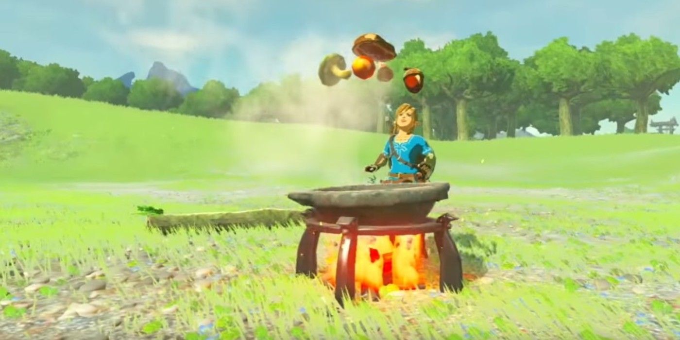 BOTW cooking