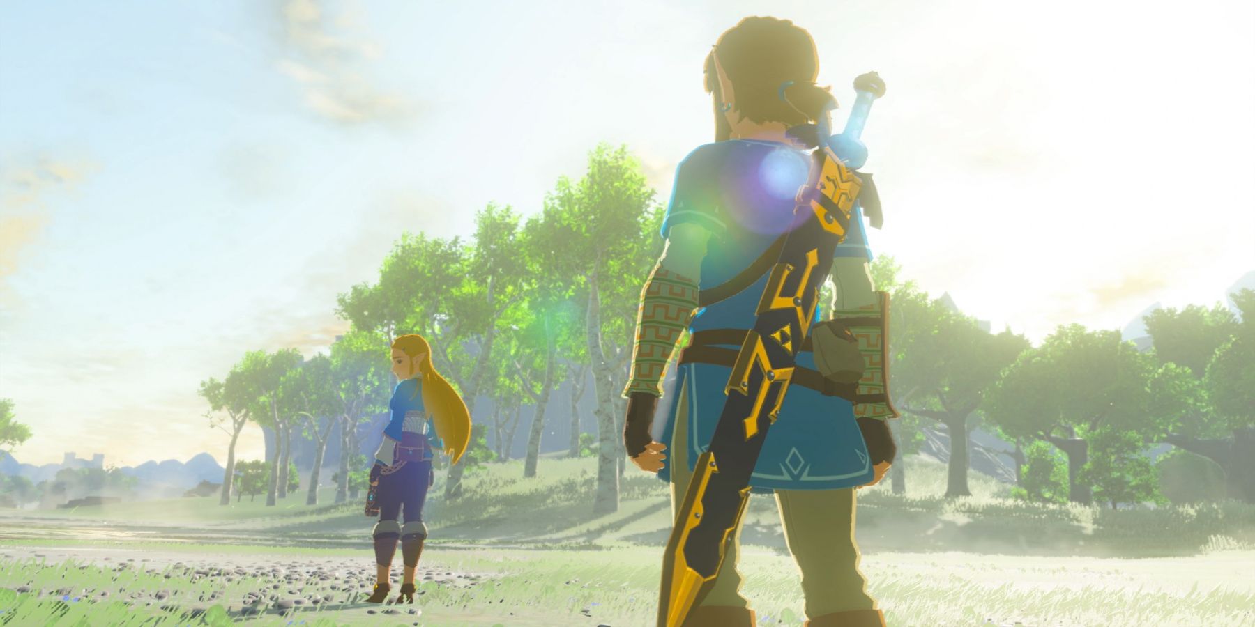 Link looking at Zelda in Breath of the Wild