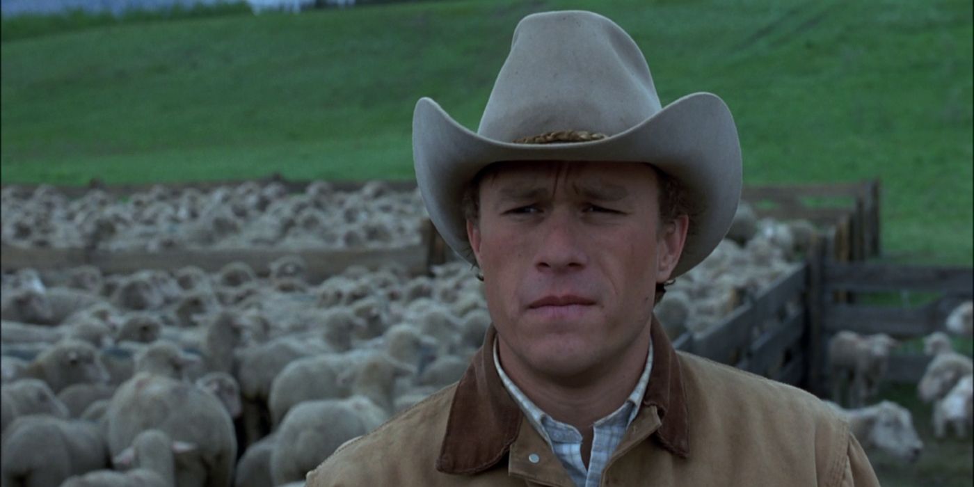 Aeneas standing in front of sheep at Brokeback Mountain