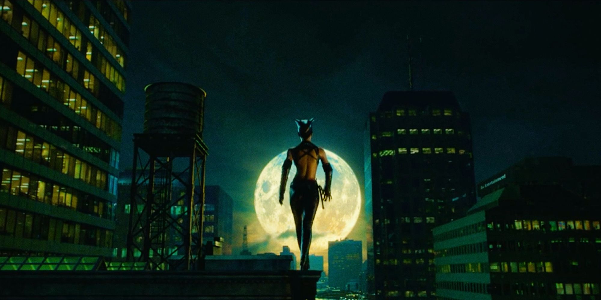 Catwoman stands in front of a full moon in Catwoman