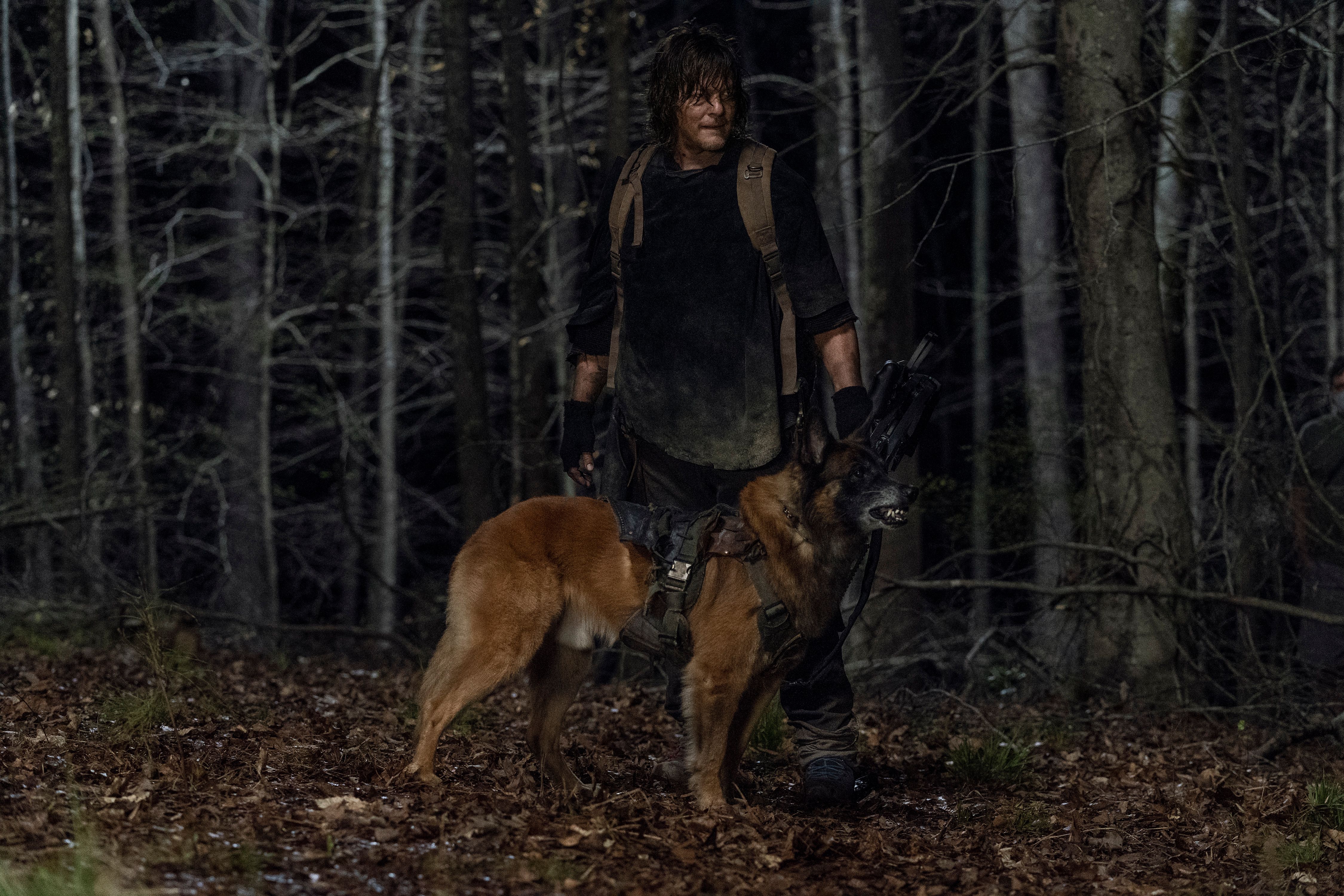Daryl And Dog Are In The Woods At Night On The Walking Dead