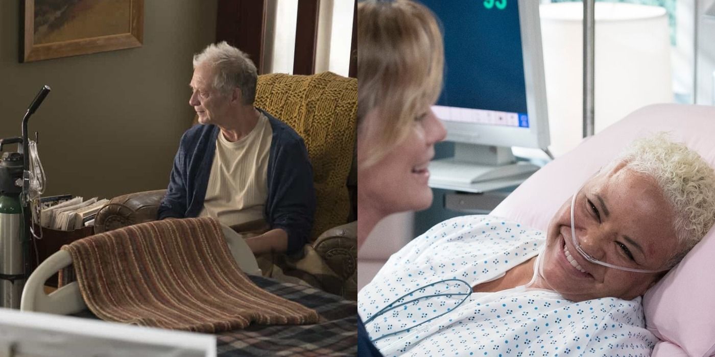 Split Image of Thatcher Grey and Cece Colvin with Meredith Grey
