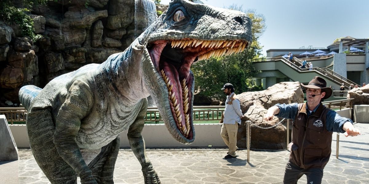 Raptor training at Jurassic World Universal Studios