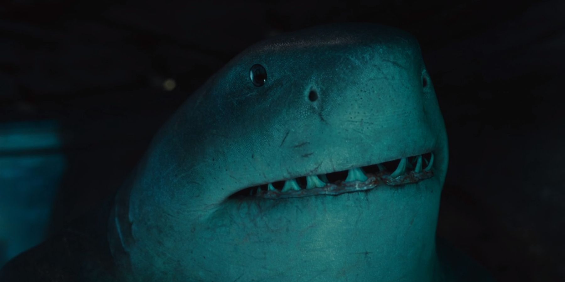 King Shark looking at the aquarium and the strange fish in James Gunn's The Suicide Squad