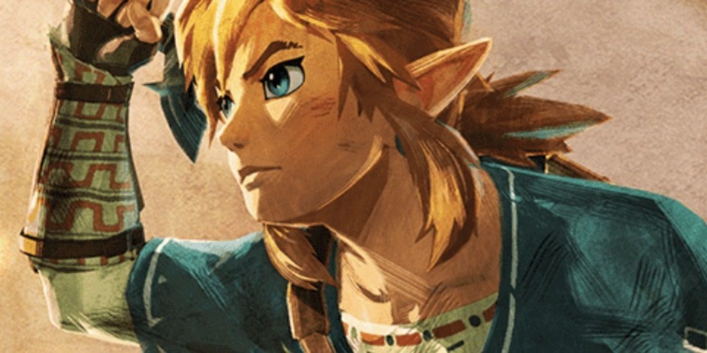 Link Legend of Zelda Age of Calamity Cover