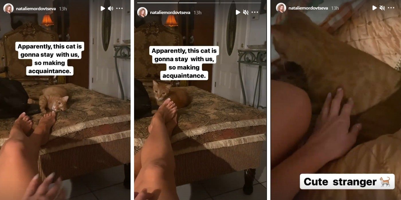 Natalie Mordovtseva Mike Cat Rat Instagram In 90 Day Fiance