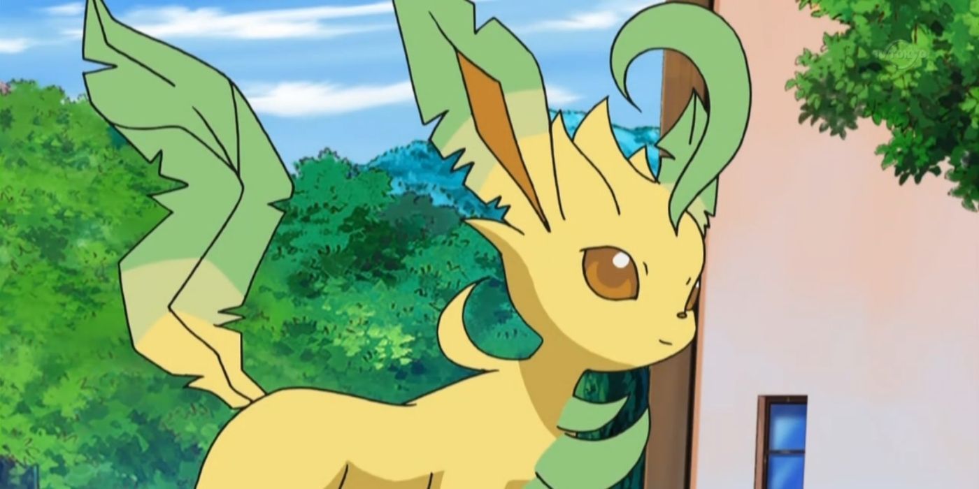 Leafeon in the Pokémon anime