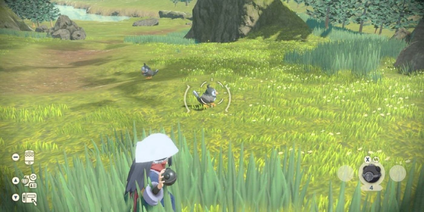 Rei hides in tall grass whole trying to catch a Starly in Pokémon Legends: Arceus