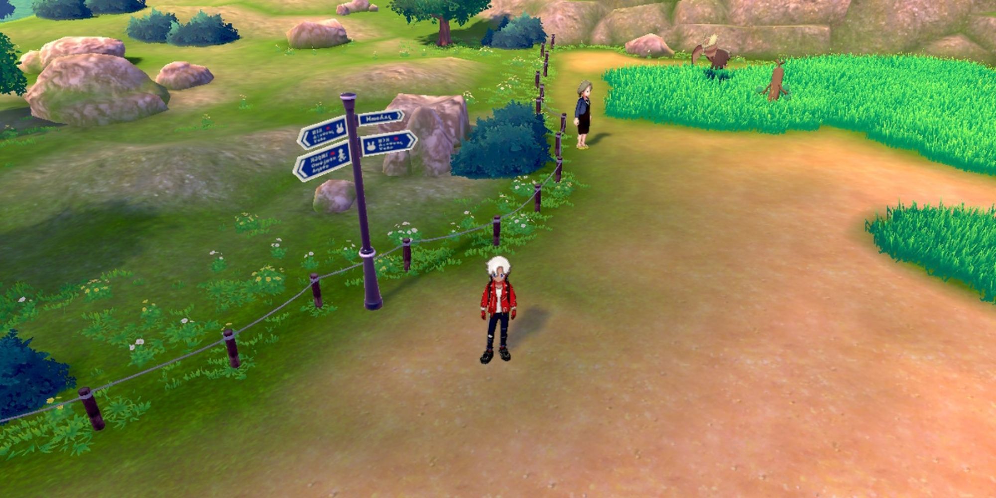 Victor at Motostoke Outskirts in Galar in Pokémon Sword &amp; Shield