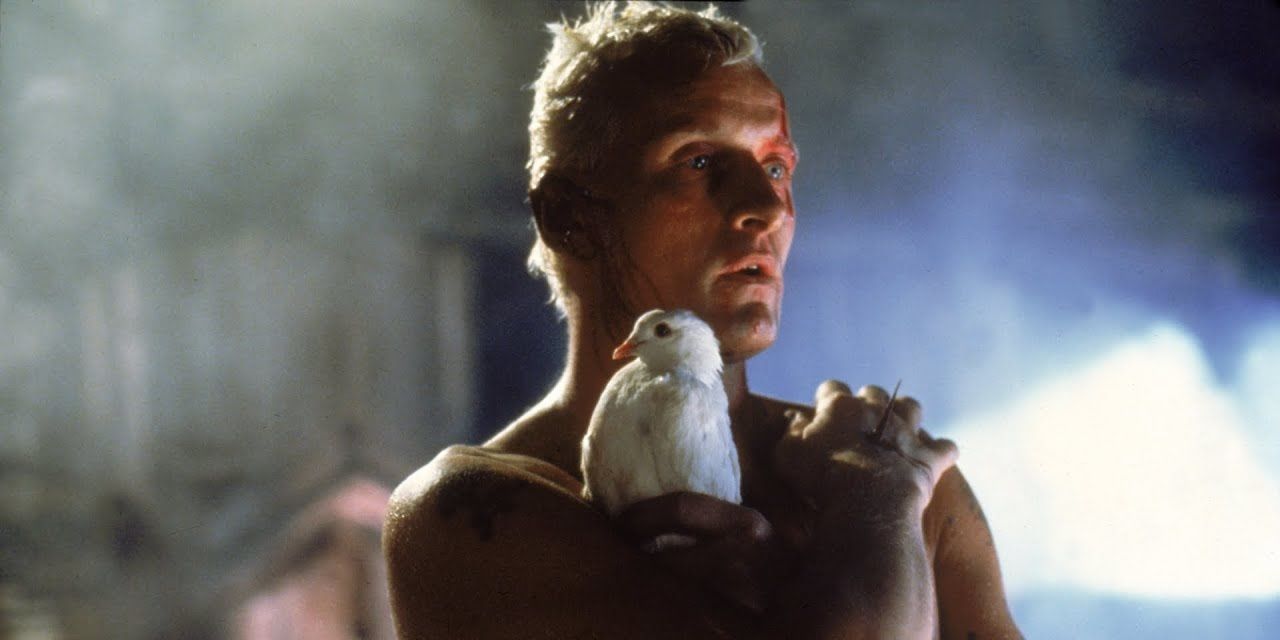 Roy Batty with a dove in Blade Runner