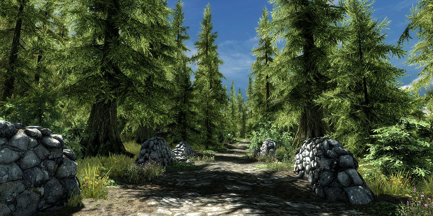 A shot of a massive forest in Whiterun Hold in Skyrim