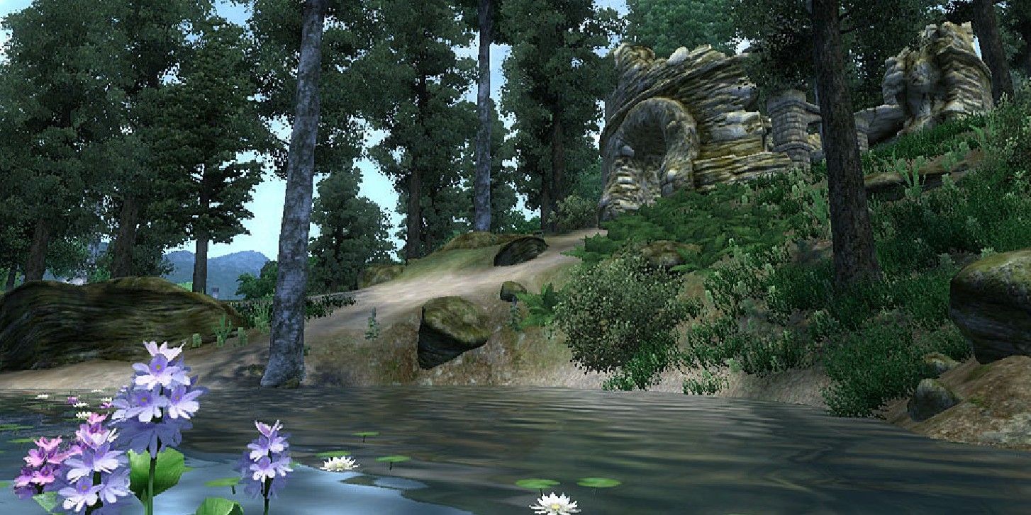 Skyrim Grandma Excited To Play Oblivion