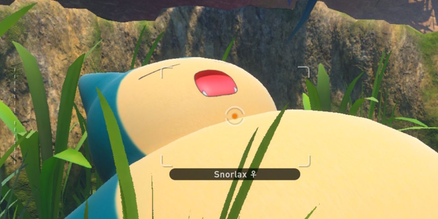 Pokemon Snap Snorlax Sleeping