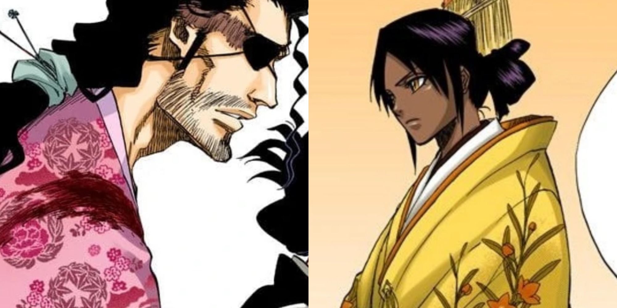 Split Image of Shunsui and Yoruichi in Bleach