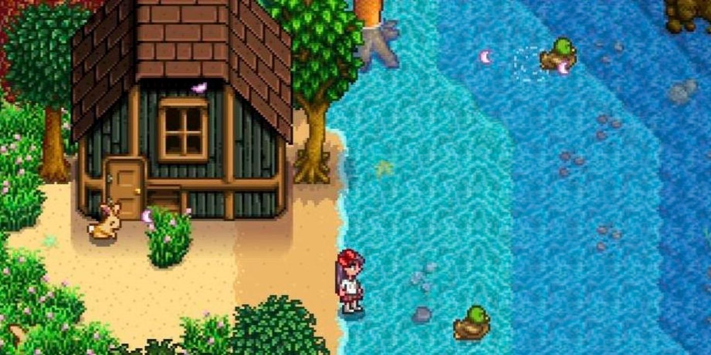 Two ducks swimming on a pond in Stardew Valley.