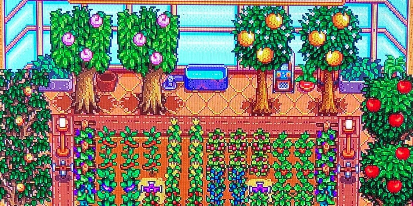 The Greenhouse as seen in Stardew-Valley