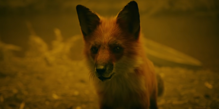 The Green Knight's Fox Guide Explained | Screen Rant