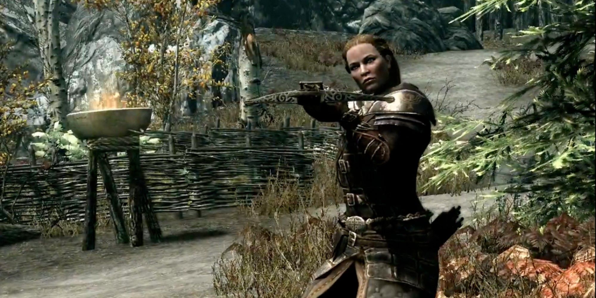 The Elder Scrolls Dawnguard
