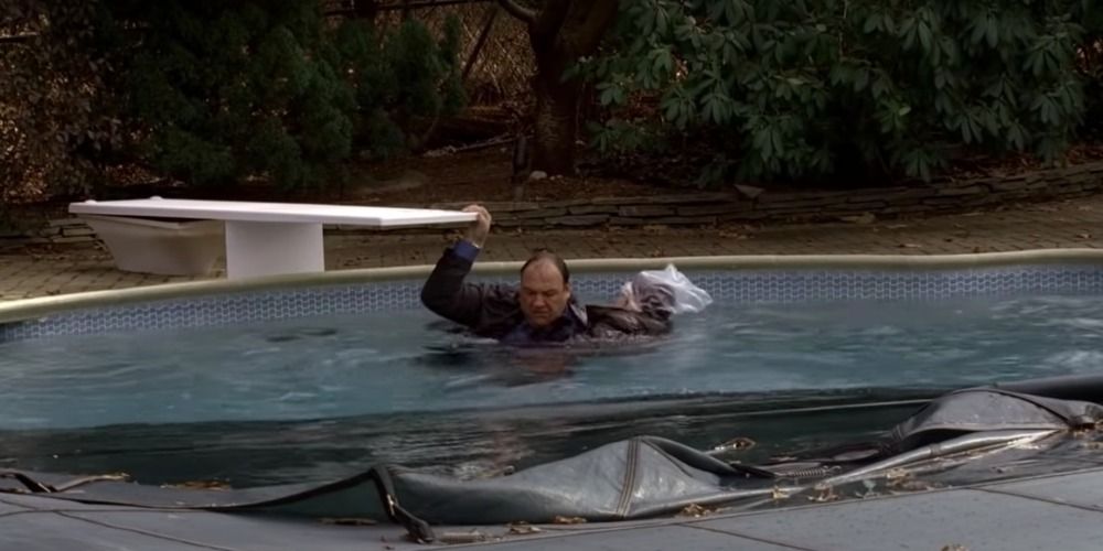 Tony rescues AJ from drowning in The Sopranos