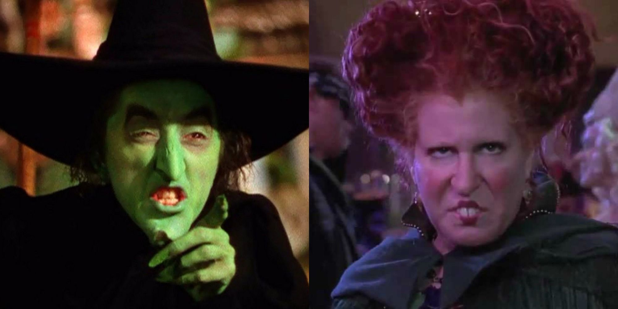 Two side by side images of the Wicked Witch of the West from Oz and Bette Midler in Hocus Pocus