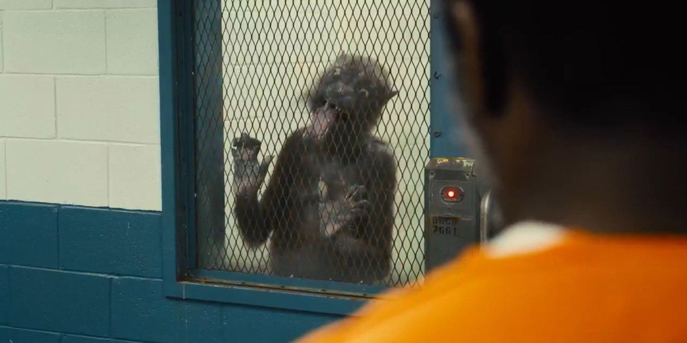 Weasel licking a window in The Suicide Squad movie.