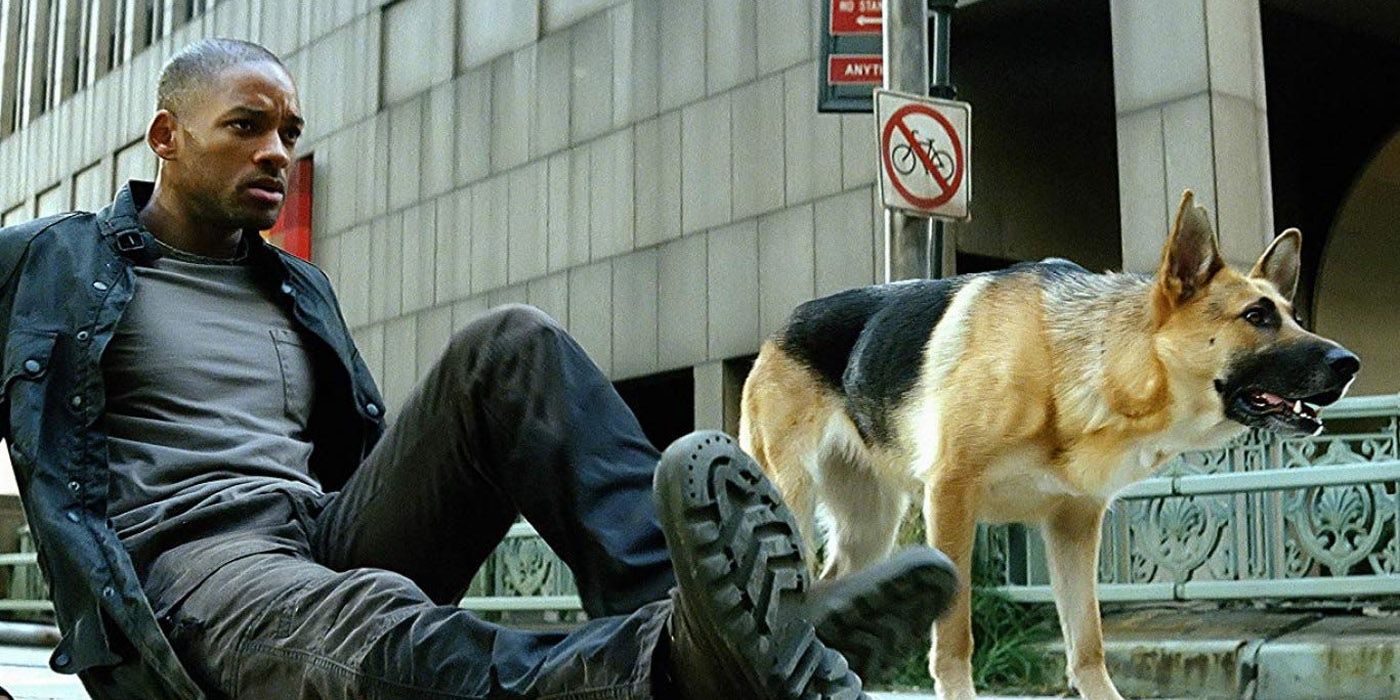 Will Smith and his dog hunting vampires in I am Legend.