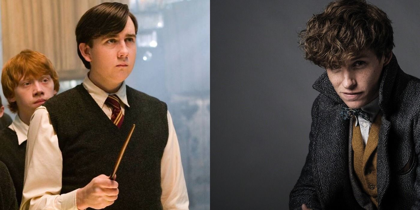 Harry Potter Meets Fantastic Beasts 5 Friendships That Would Work (& 5