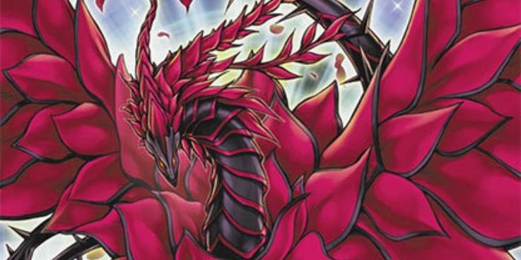 Yu-Gi-Oh Black Rose Dragon