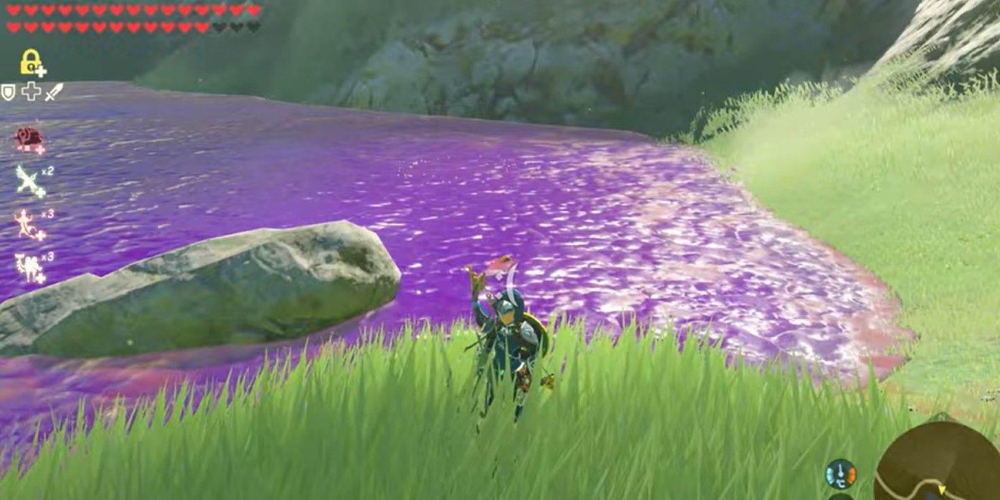 Zelda: BOTW's Unused Poison Water