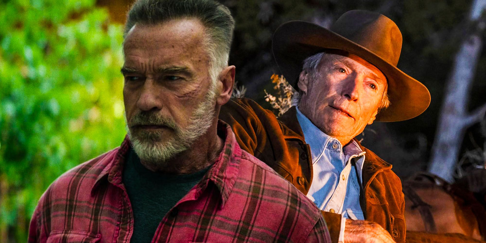 arnold schwarzenegger replaced by Clint Eastwood Cry Macho