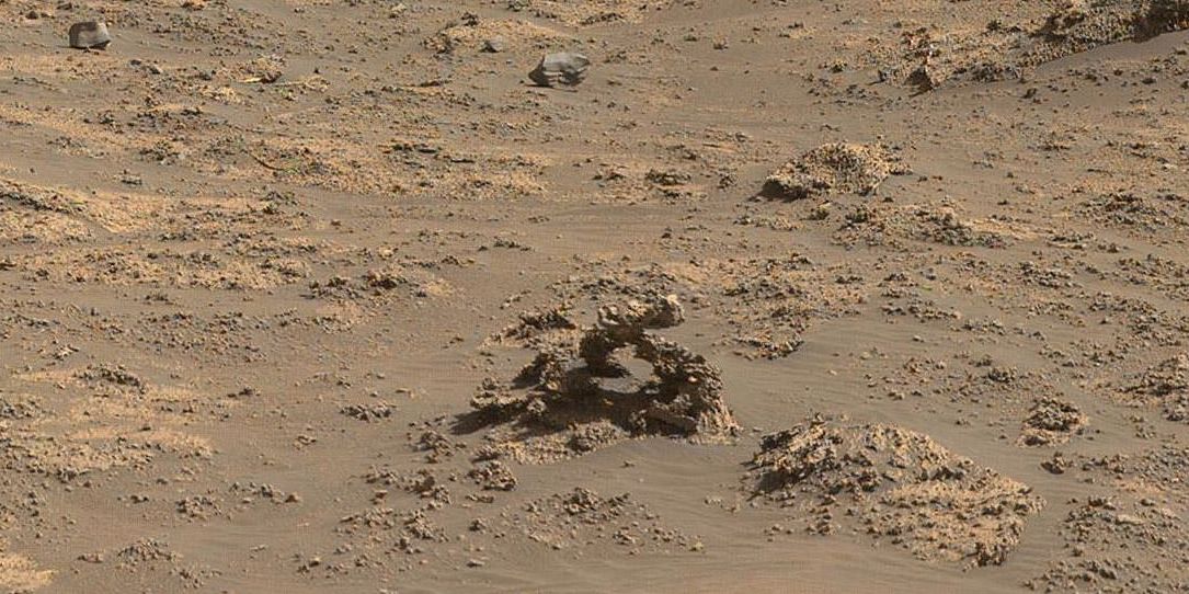 Worm-like rock formation on Mars