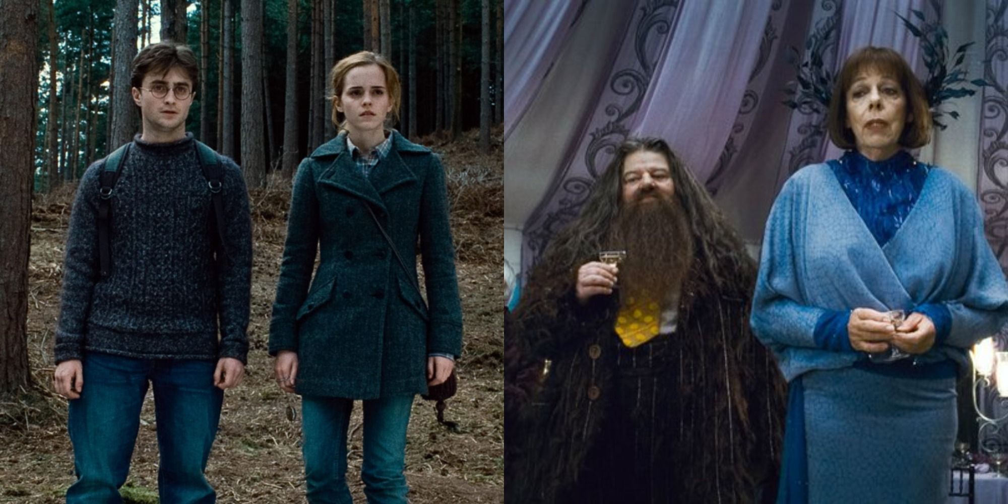 Harry Potter: Harry and Hermione / Hagrid and Madame Maxime