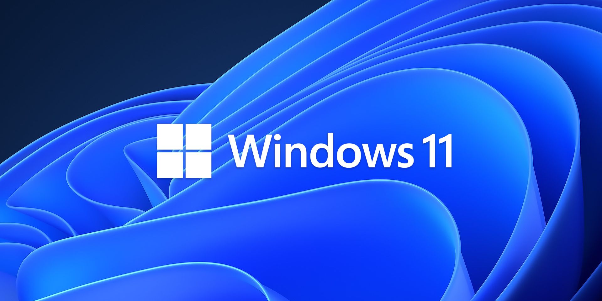 Official Windows 11 logo from Microsoft