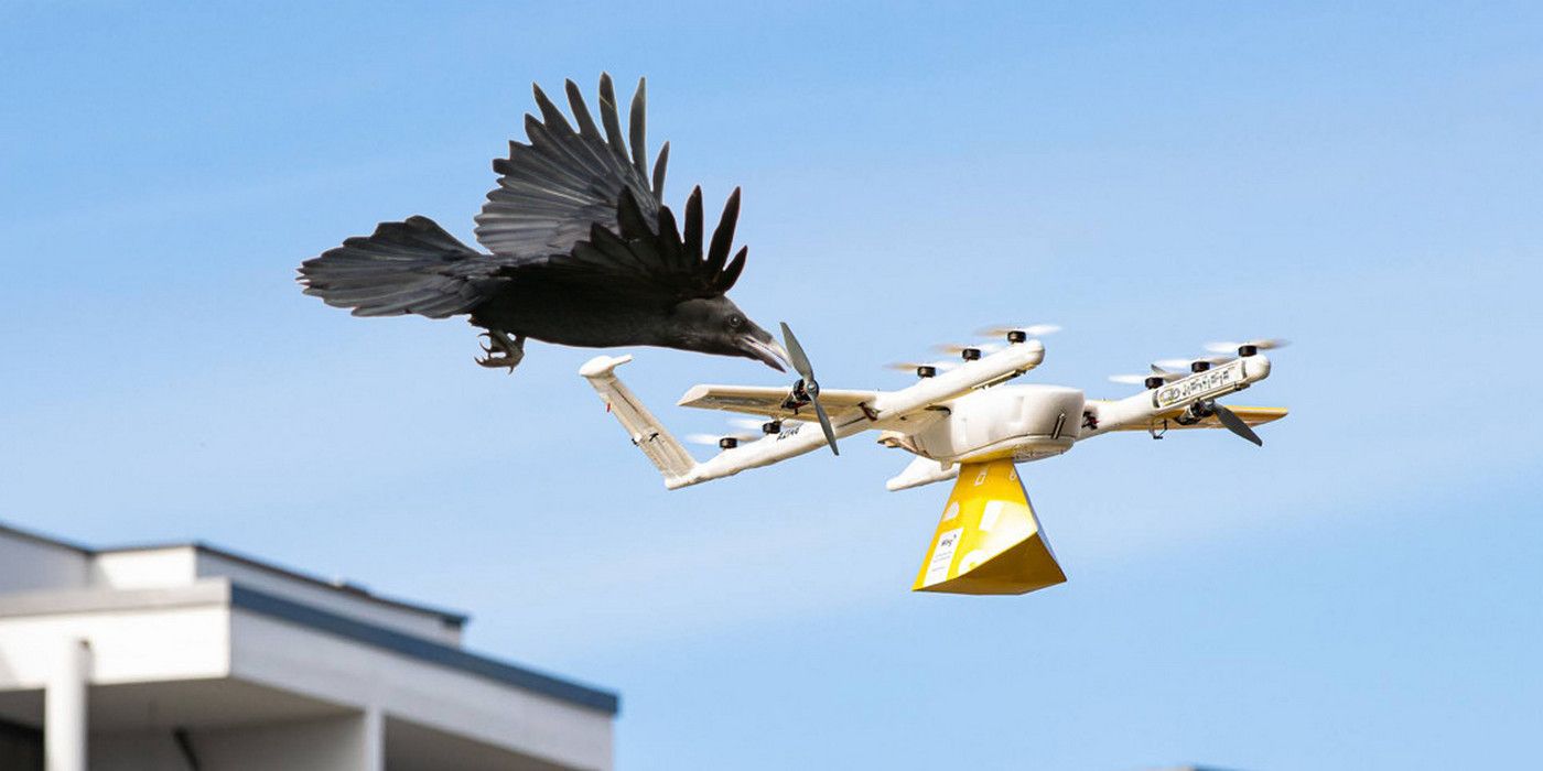 Нападение дрона. Дроны птицы. Дрон беспилотник. БПЛА птица. Птицы против дронов.