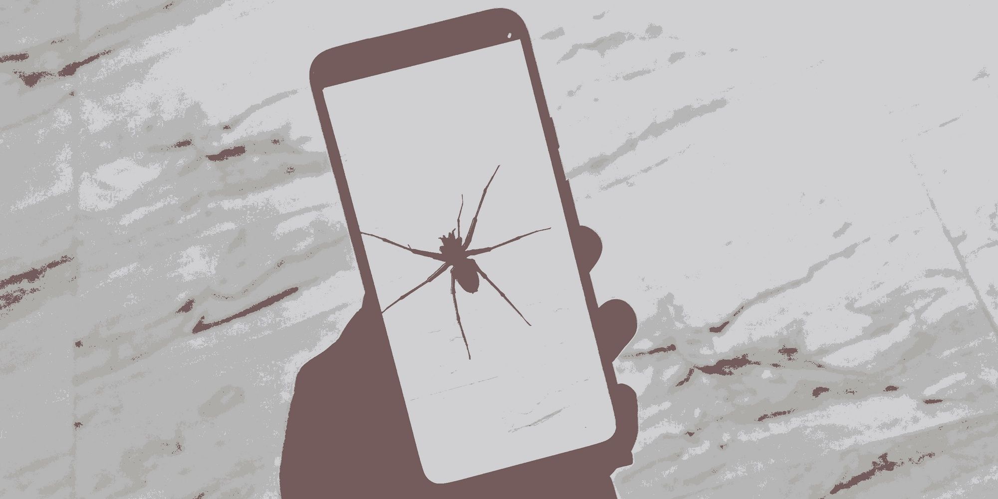 An App To Reduce The Fear of Spiders