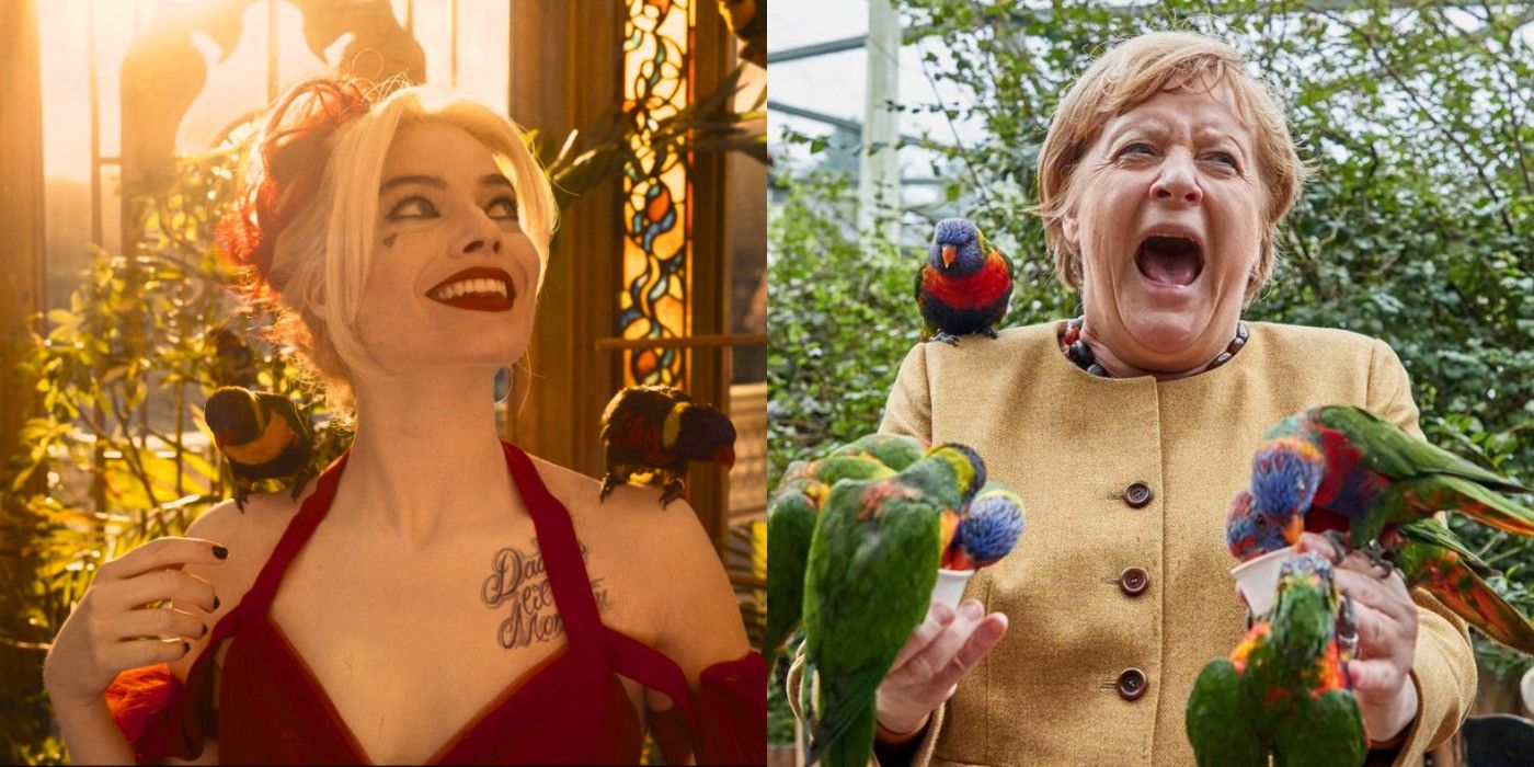 Angela Merkel recreates Harley Quinn Suicide Squad Bird scene